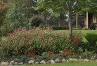 Altona Meadowsplants-17.jpg; ?>